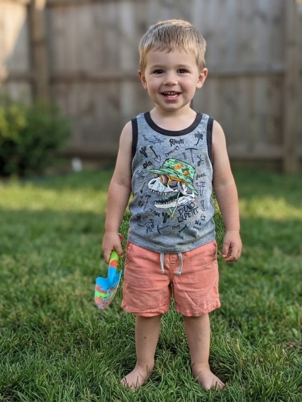 3T Dino Expert Gray Tank Top for Kids And Shorts